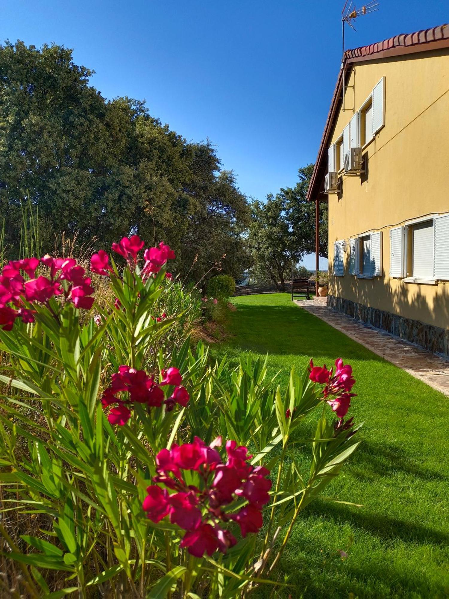 Villa El Encinar De Gabino à Zarzuela del Monte Extérieur photo